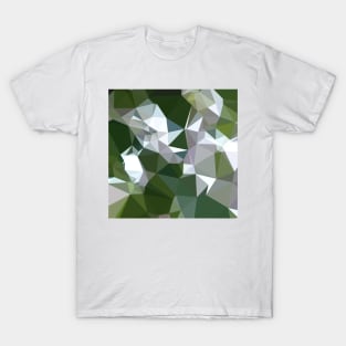 Castleton Green Abstract Low Polygon Background T-Shirt